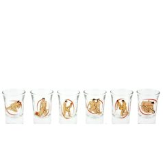 Kama szutrás Pálinkás Pohár Szett - 3,4cl - 6db 