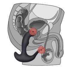  Lovetoy Ijoy Rechargeable P-spot Embracer