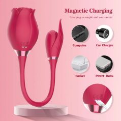 Rose Miss - Coyness USB 10 